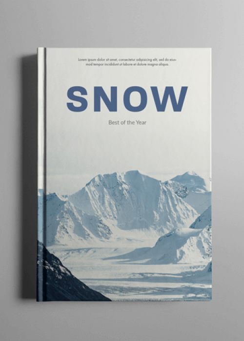 Livre Snow